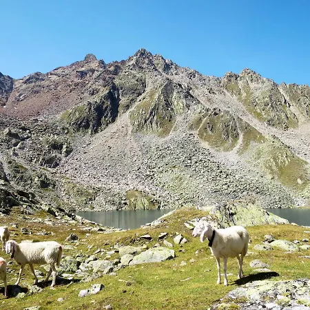 Alpin-7 By Interhome Apartamento Sölden