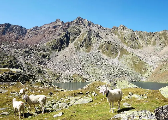 Alpin-7 By Interhome 公寓 索尔登